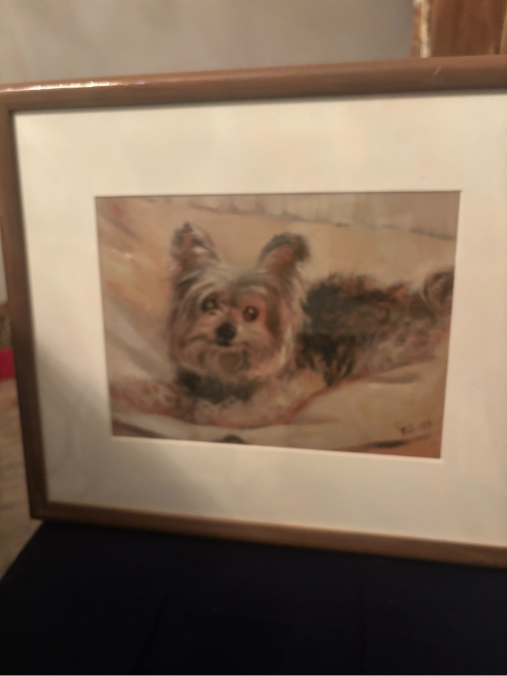Yorkshire Terrier Dog Framed Painting, Signed & Dated B.C. 1994